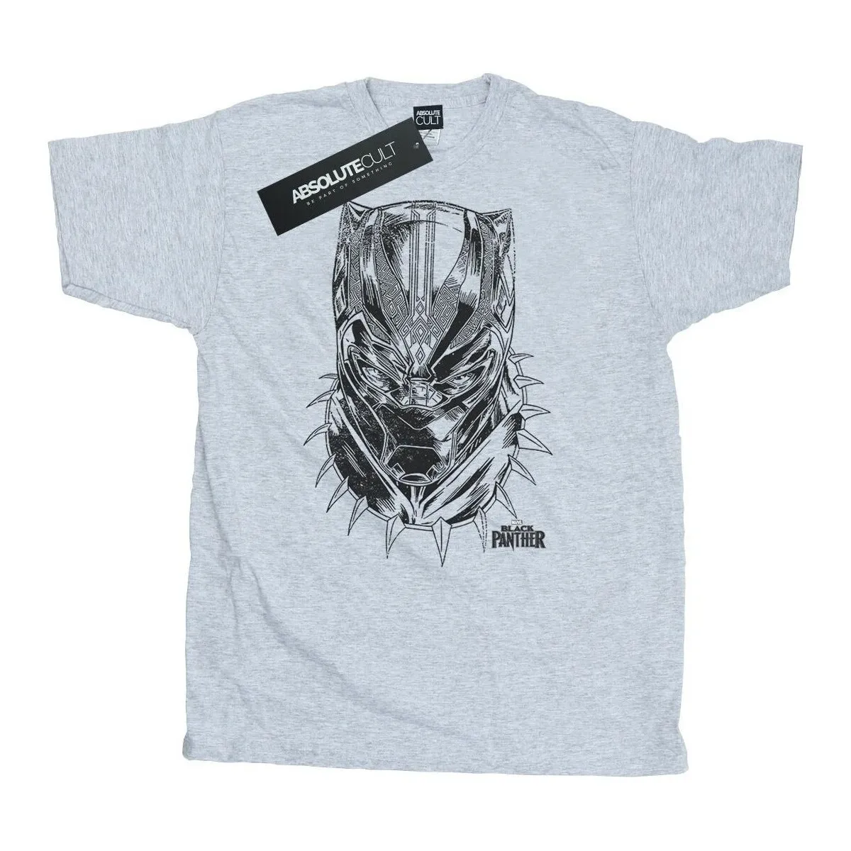 Black Panther Spray Headshot