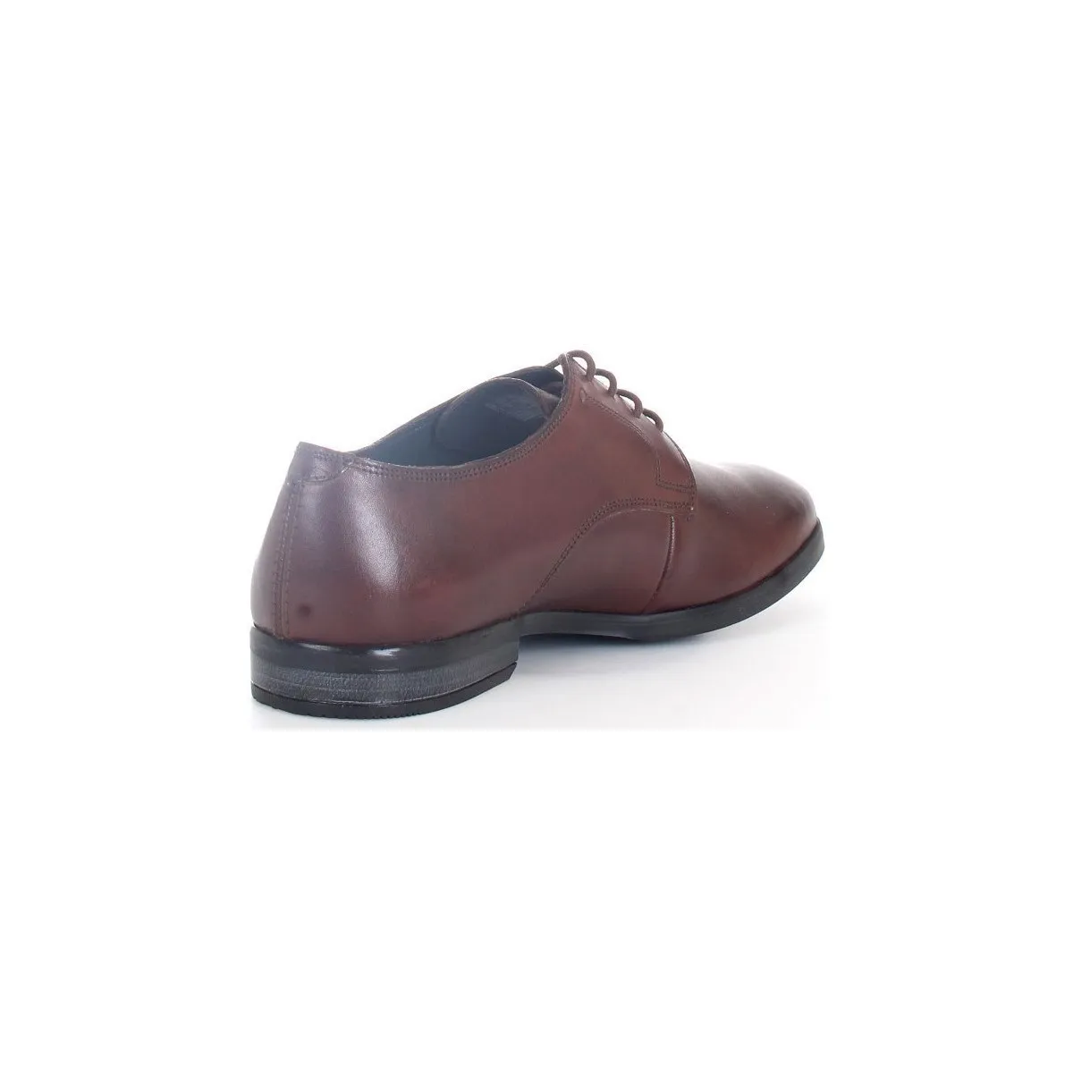 Bradish Lace zapatos con cordones hombre Marrón