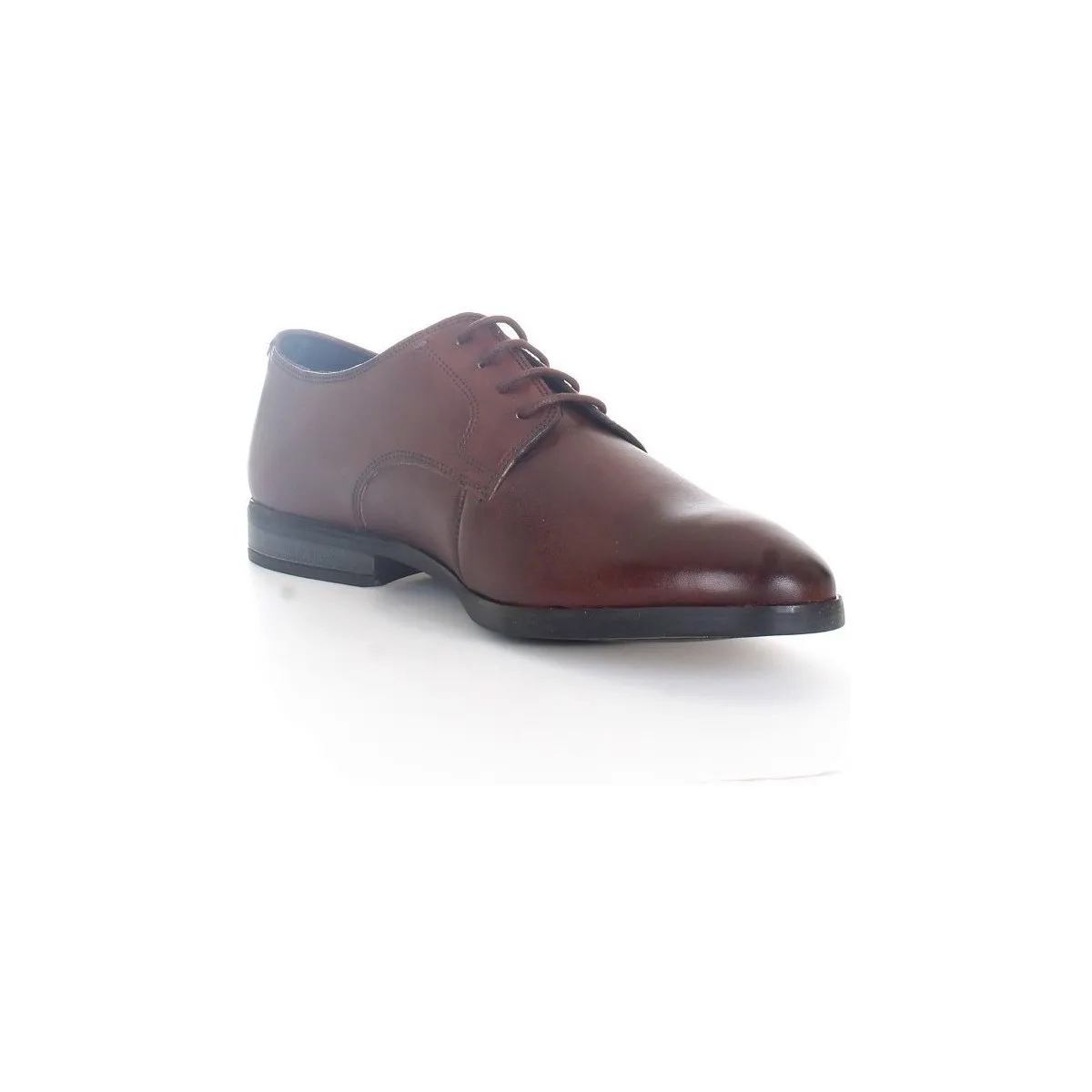 Bradish Lace zapatos con cordones hombre Marrón