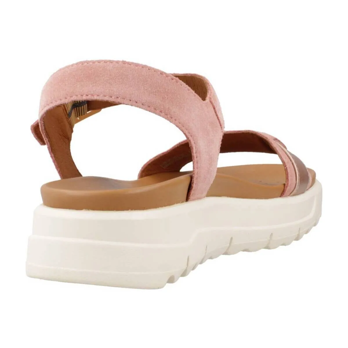 D XAND 2.1S