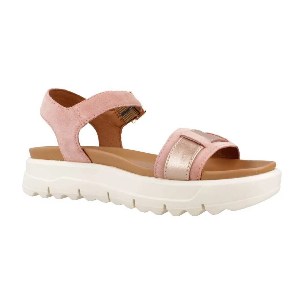 D XAND 2.1S