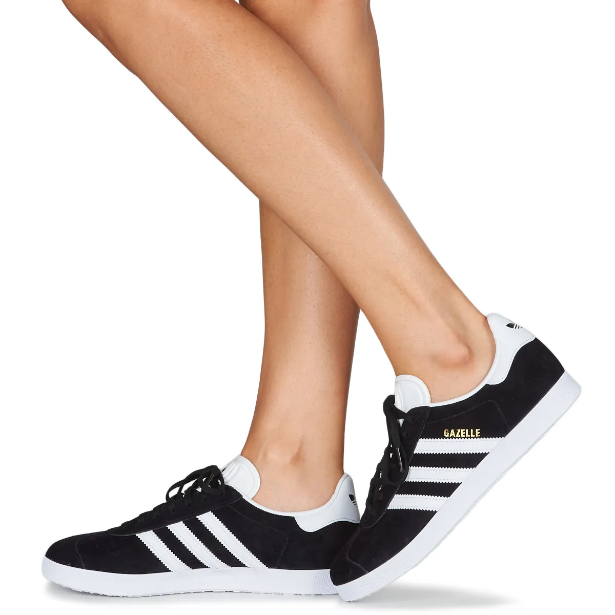 GAZELLE