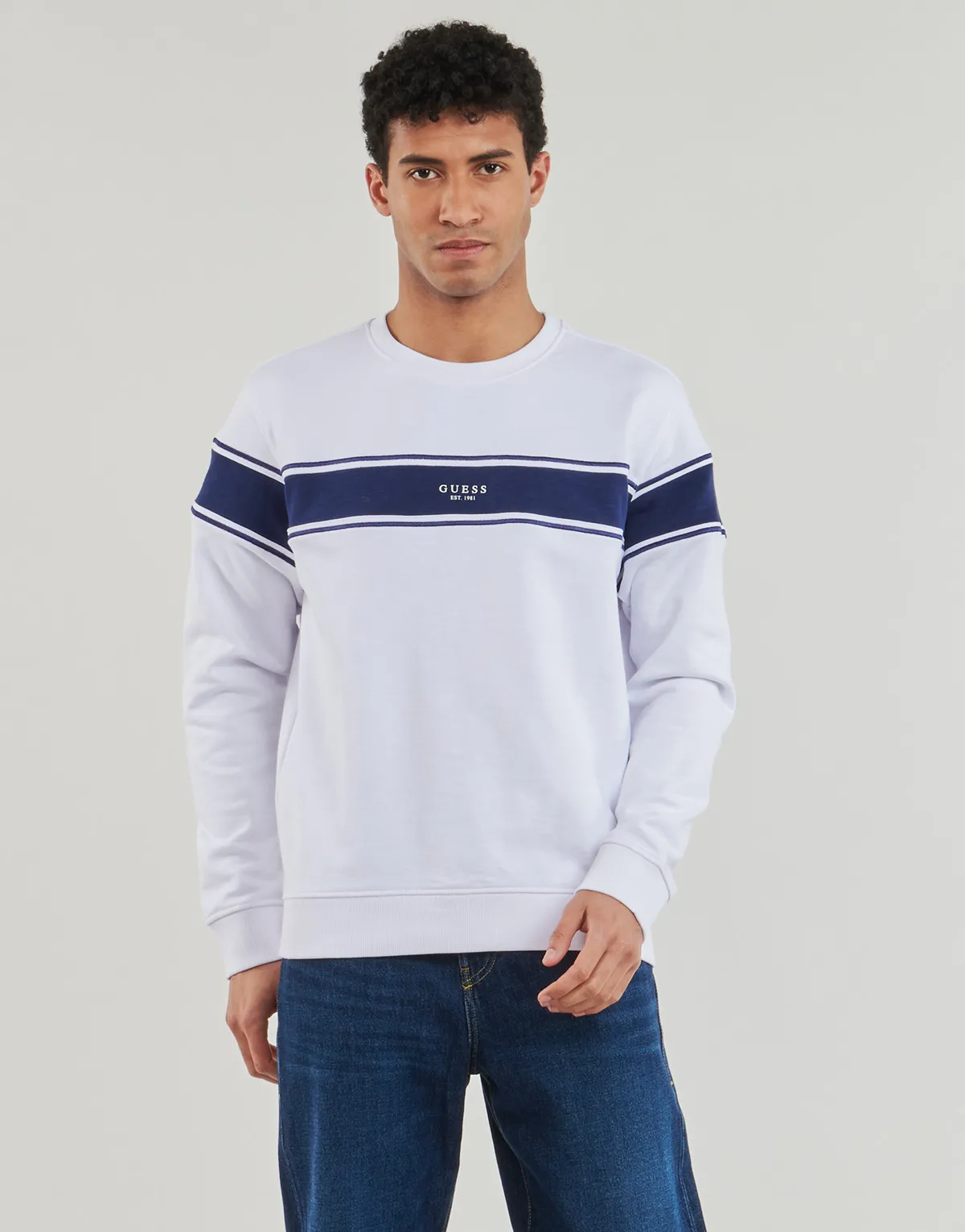 INSERTED STRIPE