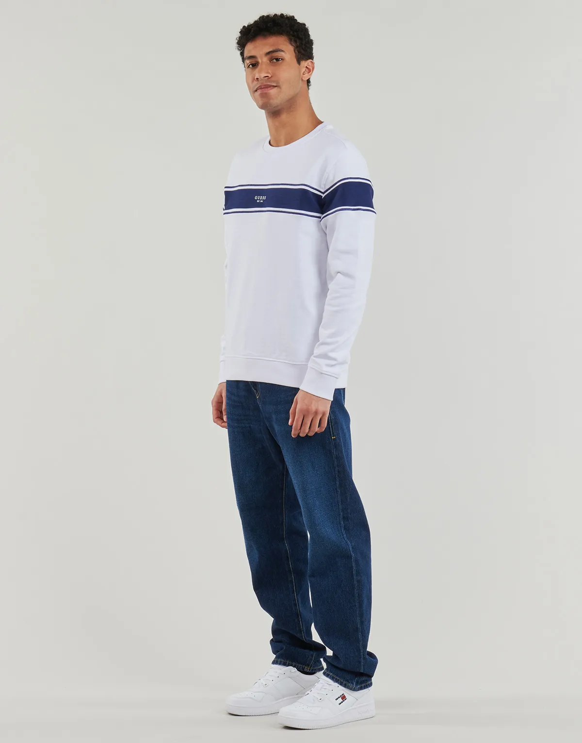 INSERTED STRIPE