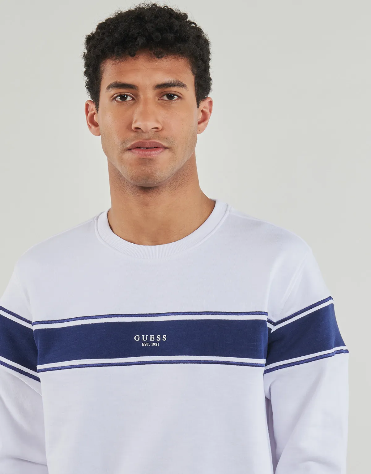 INSERTED STRIPE