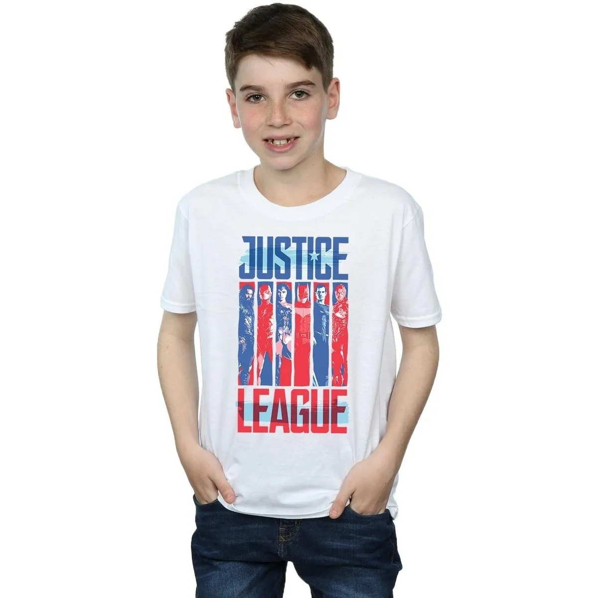 Justice League Movie Team Flag