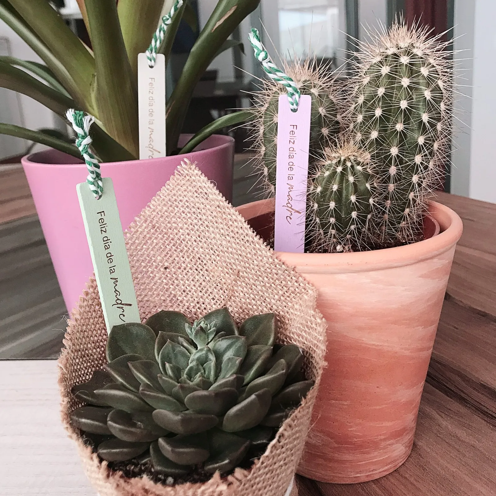 Marcador plantas Día de la Madre