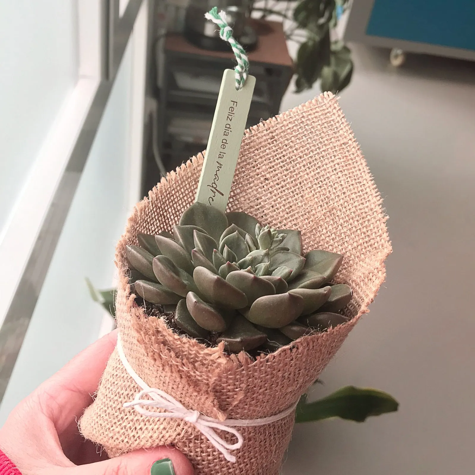 Marcador plantas Día de la Madre