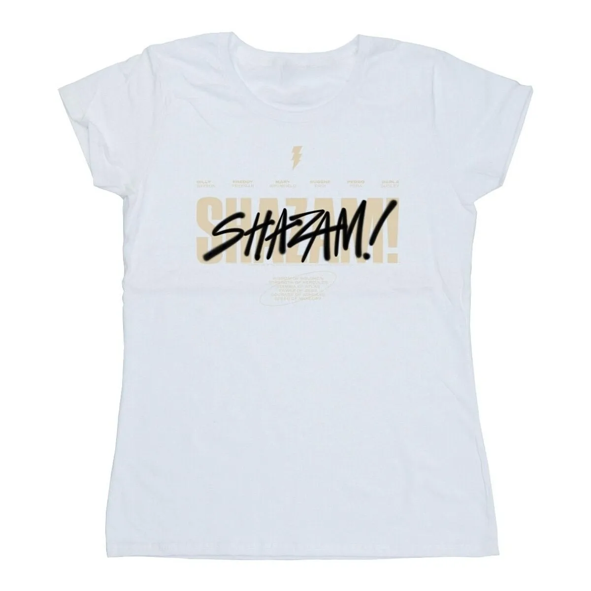 Shazam Fury Of The Gods Vandalised Logo