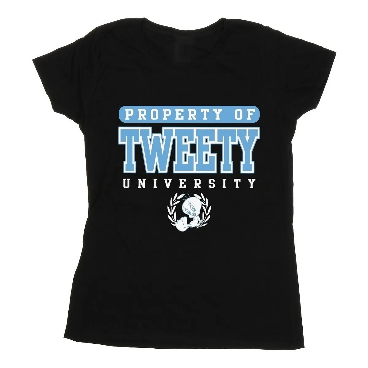Tweety Property Of University