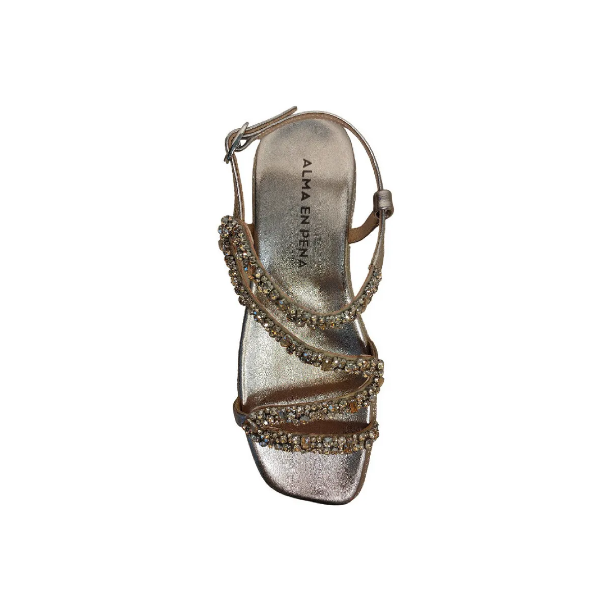 V240856 DIVA BRONZE